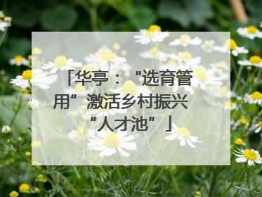 华亭：“选育管用”激活乡村振兴“人才池”