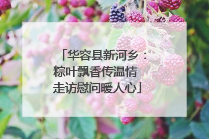 华容县新河乡：粽叶飘香传温情 走访慰问暖人心