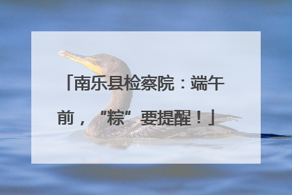 南乐县检察院：端午前，“粽”要提醒！