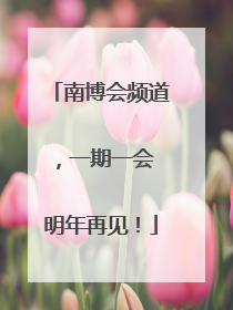 南博会频道，一期一会 明年再见！