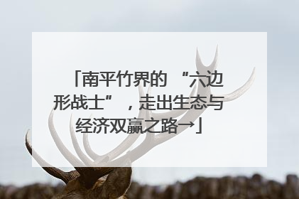 南平竹界的 “六边形战士”，走出生态与经济双赢之路→