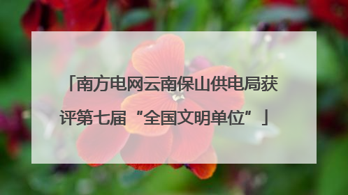 南方电网云南保山供电局获评第七届“全国文明单位”