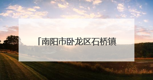 南阳市卧龙区石桥镇：迅速响应强降雨 连夜疏通河道护农田