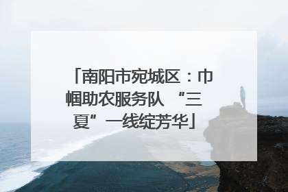 南阳市宛城区：巾帼助农服务队 “三夏”一线绽芳华