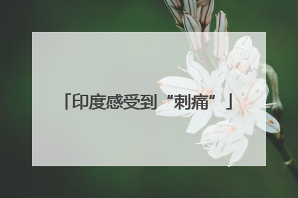 印度感受到“刺痛”