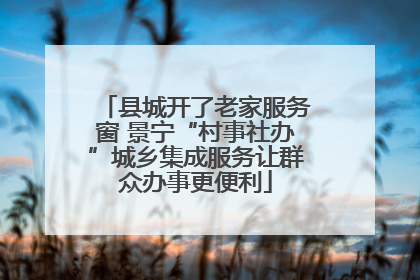 县城开了老家服务窗 景宁“村事社办”城乡集成服务让群众办事更便利