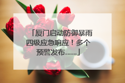 厦门启动防御暴雨四级应急响应！多个预警发布……