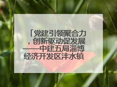 党建引领聚合力，创新驱动促发展——中建五局淄博经济开发区沣水镇高西村安置项目建设纪实