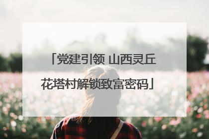 党建引领 山西灵丘花塔村解锁致富密码