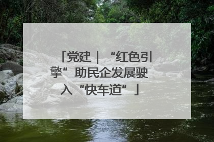 党建｜“红色引擎”助民企发展驶入“快车道”