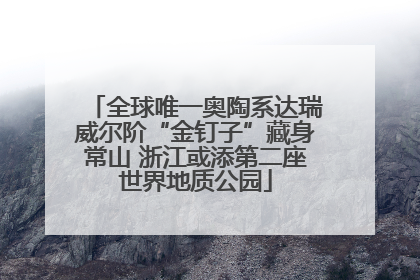 全球唯一奥陶系达瑞威尔阶“金钉子”藏身常山 浙江或添第二座世界地质公园