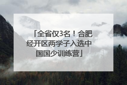 全省仅3名！合肥经开区两学子入选中国国少训练营