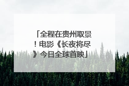 全程在贵州取景！电影《长夜将尽》今日全球首映