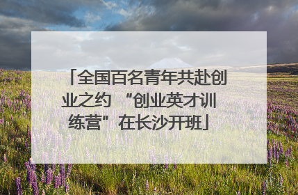 全国百名青年共赴创业之约 “创业英才训练营”在长沙开班