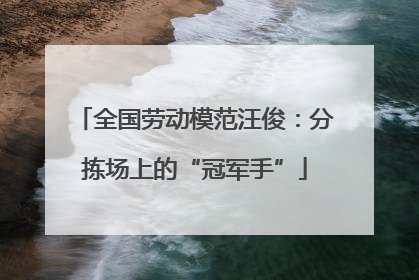 全国劳动模范汪俊：分拣场上的“冠军手”