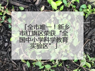 全市唯一！新乡市红旗区荣获“全国中小学科学教育实验区”