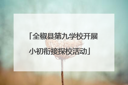 全椒县第九学校开展小初衔接探校活动