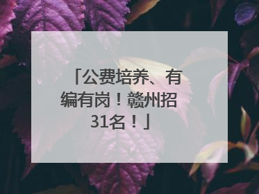 公费培养、有编有岗！赣州招31名！