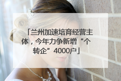 兰州加速培育经营主体，今年力争新增“个转企”4000户