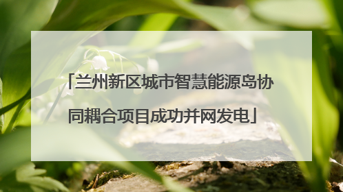 兰州新区城市智慧能源岛协同耦合项目成功并网发电