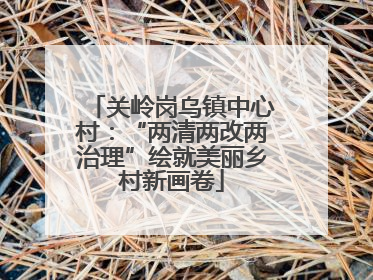 关岭岗乌镇中心村：“两清两改两治理”绘就美丽乡村新画卷