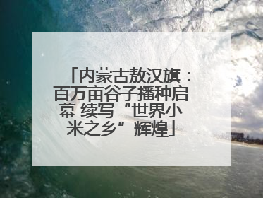 内蒙古敖汉旗：百万亩谷子播种启幕 续写“世界小米之乡”辉煌