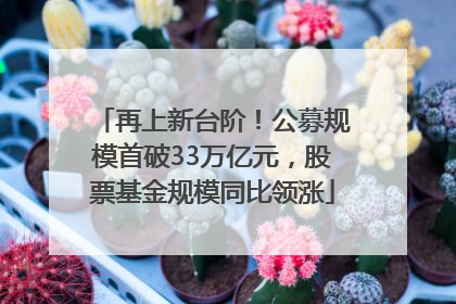再上新台阶！公募规模首破33万亿元，股票基金规模同比领涨