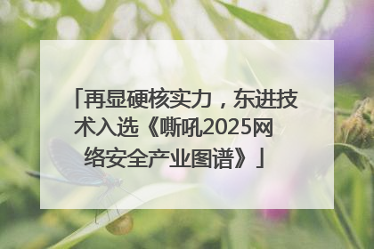 再显硬核实力，东进技术入选《嘶吼2025网络安全产业图谱》