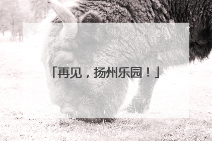 再见，扬州乐园！