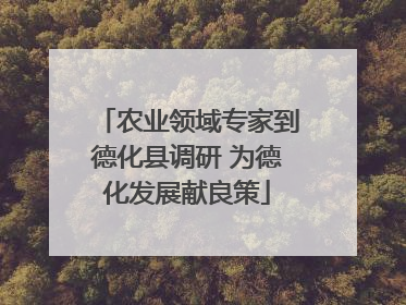 农业领域专家到德化县调研 为德化发展献良策