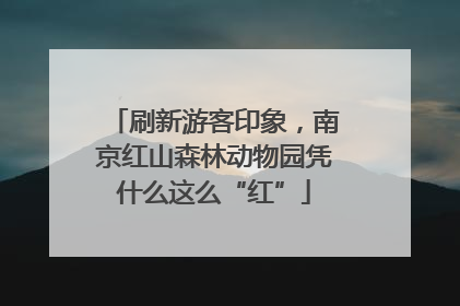 刷新游客印象，南京红山森林动物园凭什么这么“红”