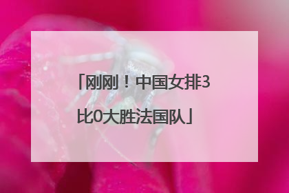 刚刚！中国女排3比0大胜法国队