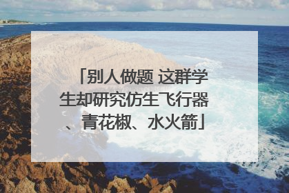 别人做题 这群学生却研究仿生飞行器、青花椒、水火箭