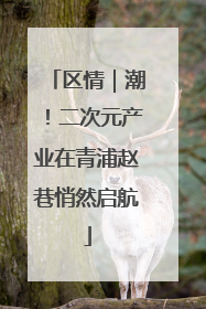 区情｜潮！二次元产业在青浦赵巷悄然启航