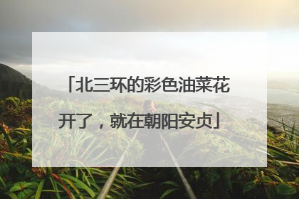 北三环的彩色油菜花开了，就在朝阳安贞