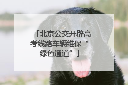 北京公交开辟高考线路车辆维保“绿色通道”