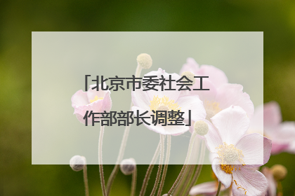 北京市委社会工作部部长调整
