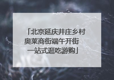北京延庆井庄乡村奥莱商街端午开街 一站式逛吃游购