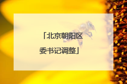北京朝阳区委书记调整
