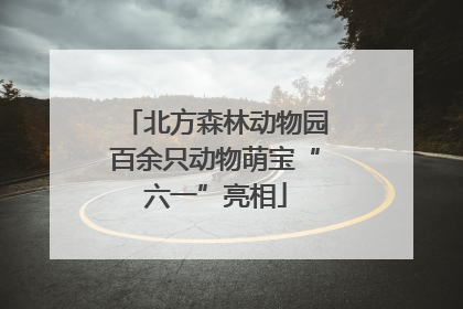 北方森林动物园百余只动物萌宝“六一”亮相
