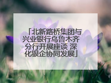北新路桥集团与兴业银行乌鲁木齐分行开展座谈 深化银企协同发展