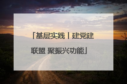基层实践丨建党建联盟 聚振兴功能