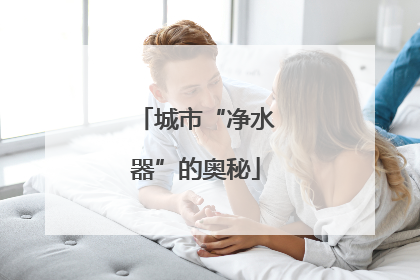 城市“净水器”的奥秘