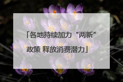 各地持续加力“两新”政策 释放消费潜力