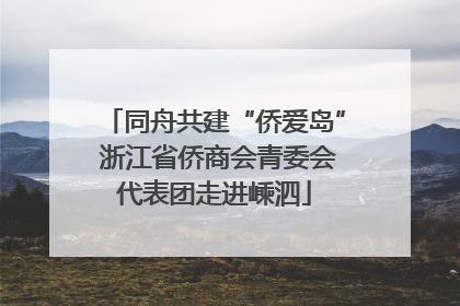 同舟共建“侨爱岛” 浙江省侨商会青委会代表团走进嵊泗