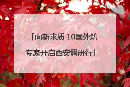 向新求质 10国外籍专家开启西安调研行