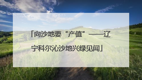 向沙地要“产值”——辽宁科尔沁沙地兴绿见闻