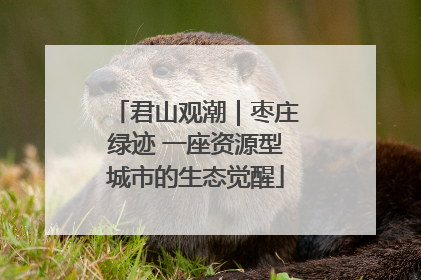 君山观潮｜枣庄绿迹 一座资源型城市的生态觉醒