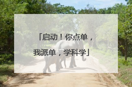 启动！你点单，我派单，学科学