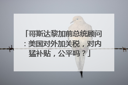 哥斯达黎加前总统顾问：美国对外加关税，对内猛补贴，公平吗？